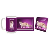 Ragdoll Mug & Coaster Gift Box Combo - Cat/Kitten/Feline Edition Beverage Drinkware