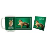 Tabby Maine Coon Mug & Coaster Gift Box Combo