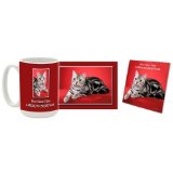 American Shorthair Mug & Coaster Gift Box Combo