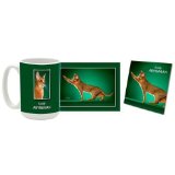 Abyssinian Mug & Coaster Gift Box Combo - Cat/Kitten/Feline Edition