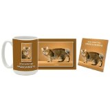 American Bobtail Mug & Coaster Gift Box Combo - Cat/Kitten/Feline