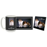 Scottish Fold Mug & Coaster Gift Box Combo - Cat/Kitten/Feline