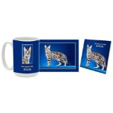 Silver Bengal Mug & Coaster Gift Box Combo - Cat/Kitten/Feline