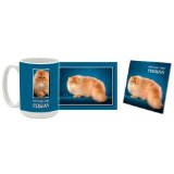 Tabby Persian Mug & Coaster Gift Box Combo - Cat/Kitten/Feline