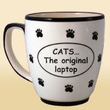CATS The Original Laptop