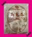 Wu Yi Oolong Tea Weight Loss Wulong Diet