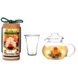 Primula PTA-4002 Flowering Tea Set with 40-Ounce Pot with Glass Lid