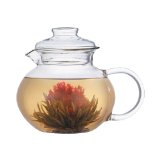 Primula PTA-3940 Tea Pot with Infuser