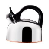 Paula Deen Signature 2 Quart Stainless Steel Teakettle