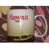 2010 Starbucks Huge Hawaii Collector Coffee Mug